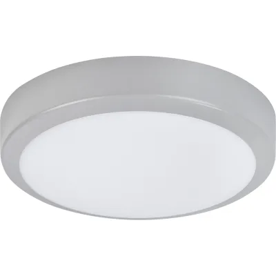 MEGAMAN LED-Decken- und Wandleuchte MM77172 | Aufbauleuchte 300mm | 10-20W | 3200lm | 3000-6500K | IP66 IK10 | silber
