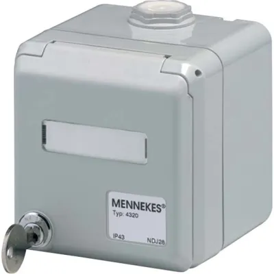Mennekes Datendose Cepex 4375G | Leergehäuse für 2 RJ45 Cat.6 Module | abschließbar | IP44 | lichtgrau RAL 7035