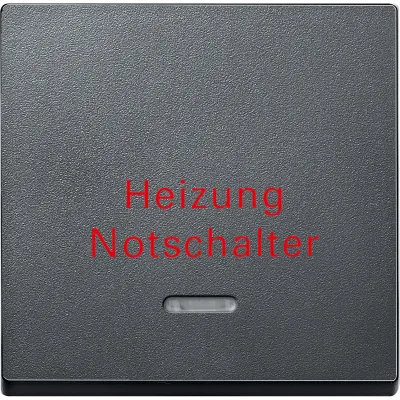 MERTEN 431814 Kontrollwippe Schalter System M anth mt