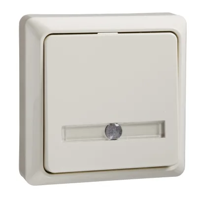 ELSO Taster 506210 | Aufputz Wipptaster beleuchtet 42V 1A | Kunststoff Thermoplast | IP20 | perlweiß