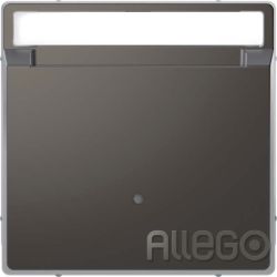 Merten Card-Schalter anth System Design MEG3854-6034