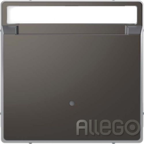 Bild: Merten Card-Schalter anth System Design MEG3854-6034