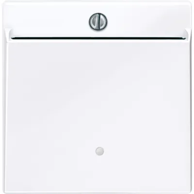 Merten Card-Schalter 315625 | Hotelcard Schalter System M | Thermoplast antibakteriell | aktivweiß glänzend | RAL 9016