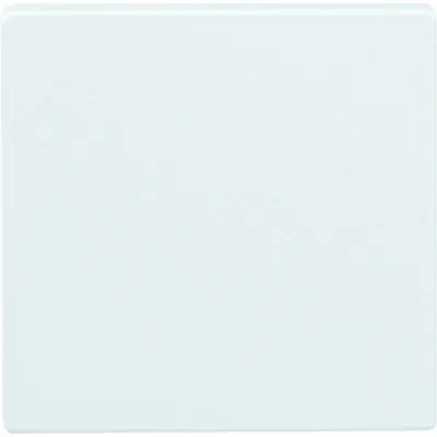 Merten Funk-Sensorfläche 503619 | CONNECT System M | Unterputz | für Dimmer | polarweiß glänzend | 1-fach