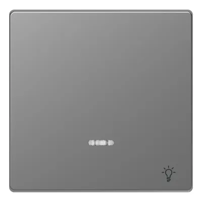 Merten Wippe MEG3322-6036 für Kontrollschalter/Taster | Kontrollfenster | Aufdruck Licht | Edelstahl glänzend