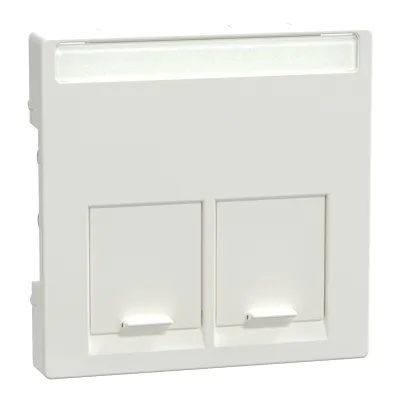 Merten Zentralplatte MEG4574-0319 | UAE/IAE 2-fach | Unterputz | Beschriftungsfeld | polarweiß RAL 9010