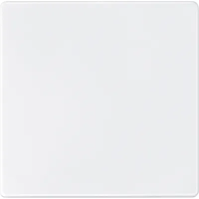 Merten Sensorfläche für Dimmer 573819 | Zentralplatte AQUADESIGN | Kunststoff glänzend | IP44 | polarweiß RAL 9010