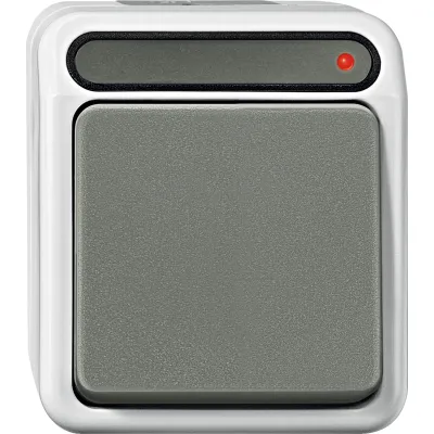 Merten Taster MEG3154-8029 | Aufputz | 1-polig | Schließer | IP44 | Beschriftungsfeld | Thermoplast matt | lichtgrau