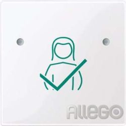 Merten Tastfläche 1f.aws/gl für Abstell-Taster MEG4841-0325