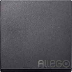 Merten Wippe anth 433114