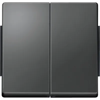 Merten Wippe 2-fach 343514 | Serien- und Doppelwechselschalter | Aquadesign | anthrazit glänzend | Kunststoff | IP44