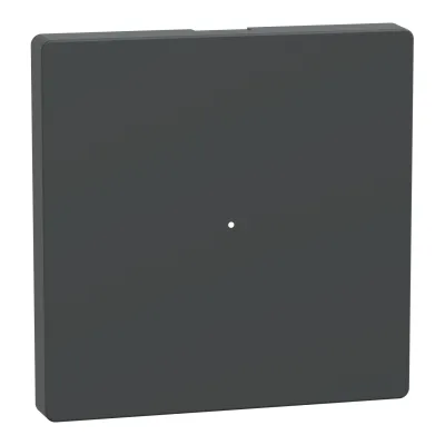 Merten Wippe für Taster-Modul 1-fach MEG5210-6034 | Schalter/Dimmer Abdeckung | Thermoplast matt | anthrazit