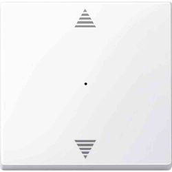 Merten Wippe aws/gl für Tastermodul 1f. 619425