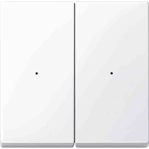 Bild: Merten Wippe aws/gl für Tastermodul 2f. 619225