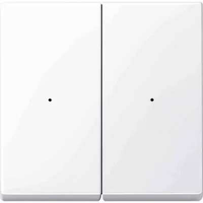 Merten Wippe für Tastermodul 2-fach 619225 | KNX System M | antibakteriell | Thermoplast glänzend | weiß RAL 9016