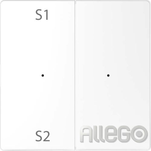 Bild: Merten Wippe f. Tastermodul 2f. Szene1/2 blank MEG5226-6035