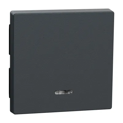 Merten Wippe mit Kontrollfenster 431014 | Schalterabdeckung System M | 1-fach | Thermoplast matt | anthrazit