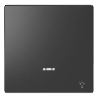 Merten Wippe MEG3322-6034 | Kontrollwippe Schalter/Taster | Kontrollfenster | Symbol Licht | matt lackiert | anthrazit