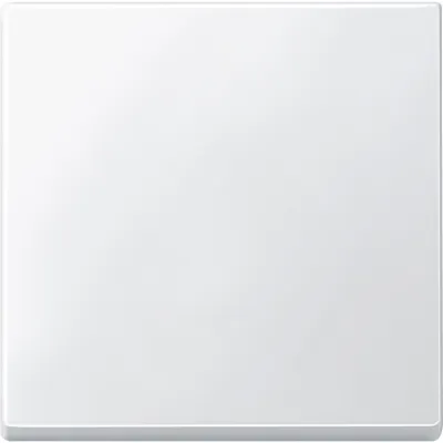 Merten Wippe 434119 | Abdeckung für Schalter & Taster System M | Duroplast hochkratzfest | polarweiß glänzend | IP20