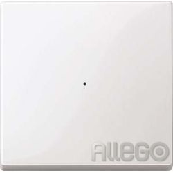 Merten Wippe pws/gl f.Tastermodul 1f. 619119
