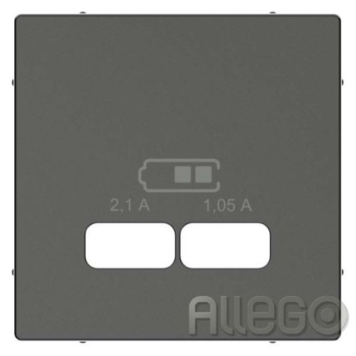 Bild: Merten Zentralplatte anth f.USB Ladest.Einsatz MEG4367-0414