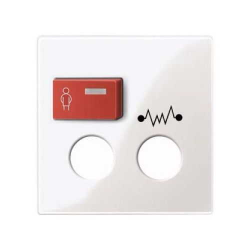 Bild: Merten Zentralplatte pws/gl für Rufmodul 450319