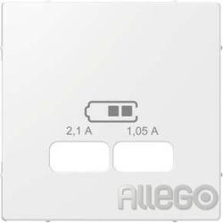 Merten Zentralplatte pws/glanz f.USB Ladest.Ein MEG4367-0319