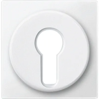 Merten Zentralplatte | System M | Wechsel-Rastschalter | Profil-Halbzylinderschloss 40mm | polarweiß