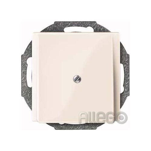 Bild: Merten Zentralplatte ws/gl Leitungsauslass 296344