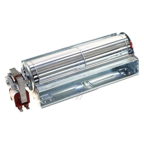 Bild: Motor 12012240