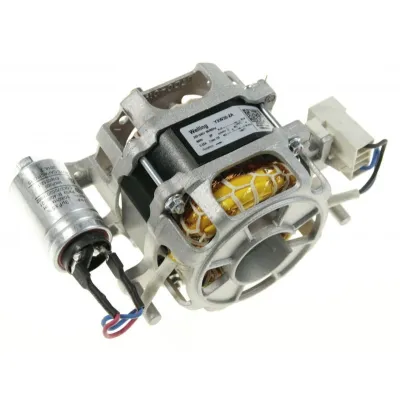 Motor, 220V 50HZ (4055341517)
