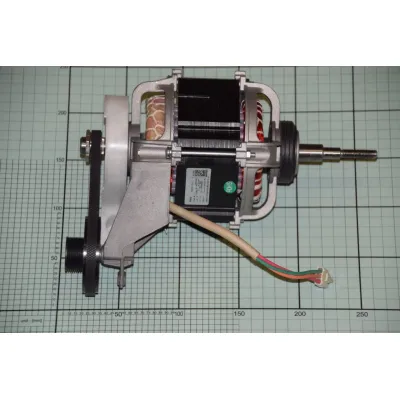 Motor Amica 1034597 für Trockner