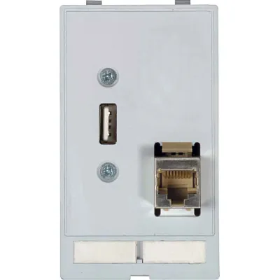 Murrelektronik Modlink MSDD Frontplattenschnittstelle | USB-A Buchse | RJ45 CAT5e 8-polig | Kunststoff | Feld