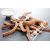 Bild: Neumärker Churrosmaker Thermocook® inkl. Churros Wechselplatten 12-40801-72