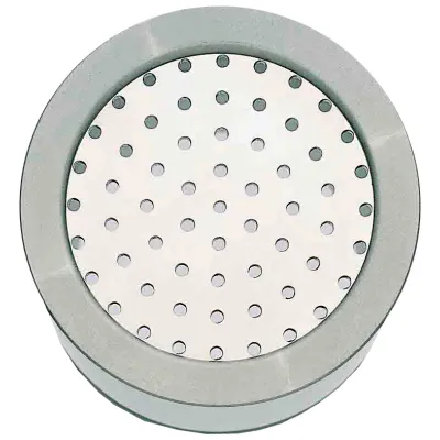 Einsatz Spaghetti für Spaghetti-Eis-Presse | Speziallegierung | Lochdurchmesser 2,5 mm | Gewicht 0,3 kg