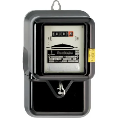 NZR Wechselstromzähler WS 10(40)A 01020113 | elektromechanisch | geeicht | 1-phasig | 230V | 10–40A | regeneriert