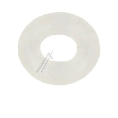 O-Ring (4055061289)