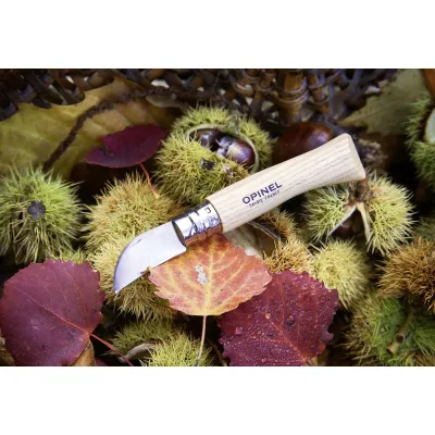 OPINEL Kastanienmesser No. 07 254578 | Edelstahl & Kastanienholz | 4 cm Klinge | Virobloc Sicherung | Natur