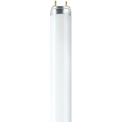 Radium Leuchtstofflampe T8 30W/865/G13 | 6500K Tageslichtweiß | 2350 lm | 895mm | Ø26mm | Energieklasse A