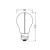 Bild: LEDVANCE LED-Lampe E27 Vintage 1906 CLAS A FIL MAG 1.8W | LED-Filament | 2700K warmweiß | 80lm | Glas | gold