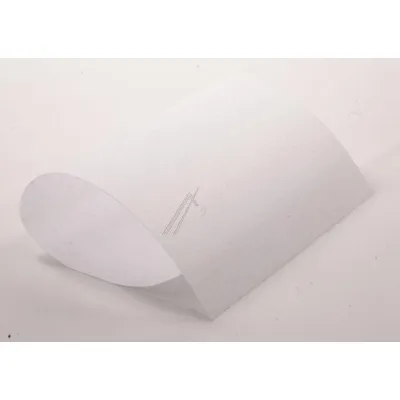 Papierfilter für Elica Dunstabzugshaube ACC0000568 550x330mm