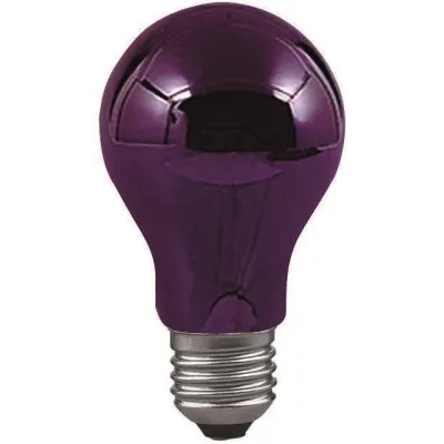 Paulmann Glühlampe Schwarzlicht 590.70 | E27 | 75W | dimmbar | Effektlicht | 230V | Standardform | 95mm | 55mm | schwarz