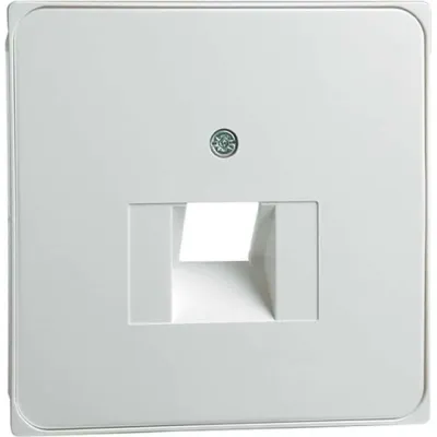 PEHA Zentralplatte UAE/IAE 95.610.02 | 1 Terminal | Unterputz | Kunststoff | schraubbar | reinweiß