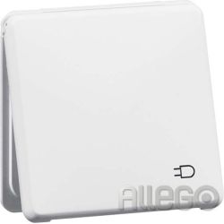Peha SCHUKO-Steckdose rws 16A 250V 2-po D 80.6611.02 K WU SI
