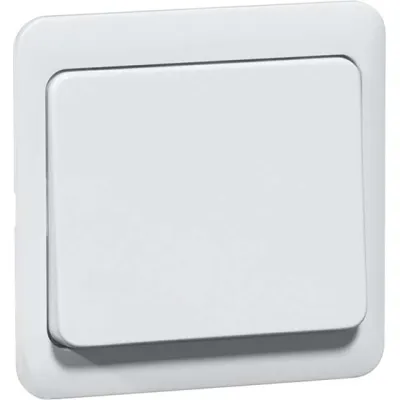 Peha Tastaufsatz rws für Dimmer/Schalter D 80.420.02