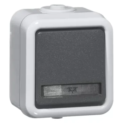 Peha Taster 655 WAB 00303111 | Wipptaster 1-polig Schliesser | Aufputz IP54 | Thermoplast glänzend | grau