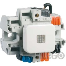 Peha Taster-Einsatz alu guss 10A 250V Kontr.Lic D 356 ES GLK