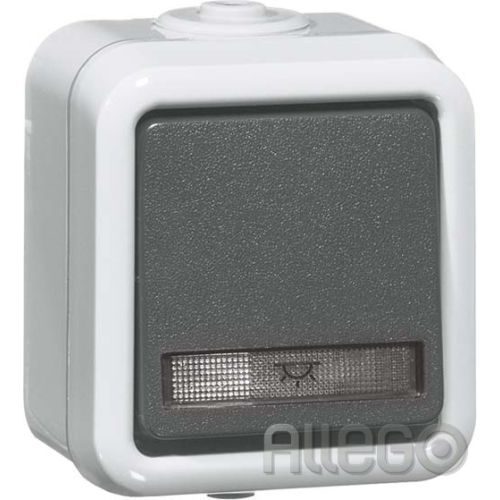 Bild: Peha Taster IP44 D 656 WAB