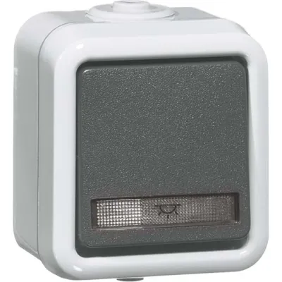 PEHA Wechseltaster D 656 WAB | Aufputz | 1-polig | 10A 250V | IP54 | Thermoplast | Steckklemmen | grau