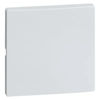 PEHA Wippe für 500er Grundelemente 95.540.70 | Wechsel- & Kreuzschalter | Taster neutral | Thermoplast Aluminium